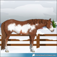 Horse Color:Chestnut Frame 