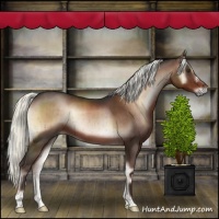 Horse Color:Liver Red Onyx Mushroom Brindle 