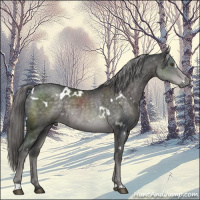 Horse Color:Platinum White Spotted Chocolate Palomino 