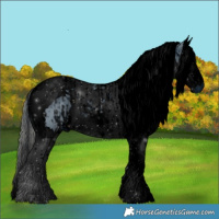 Horse Color:ERROR: UNKNOWN ANOMALY and ERROR: UNKNOWN ANOMALY