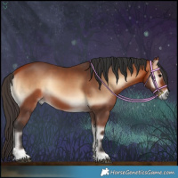 Horse Color:Bay Onyx 