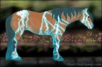 Horse Color:Thunderstruck Bay Appaloosa 