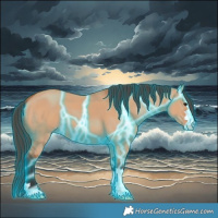 Horse Color:Thunderstruck Bay Dun 