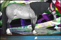 Horse Color:Bay Chinchilla 