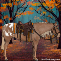 Horse Color:Chestnut Appaloosa