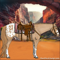 Horse Color:Chestnut Appaloosa