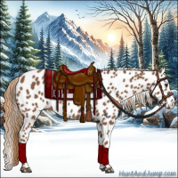 Horse Color:Chestnut Appaloosa 