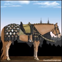 Horse Color:Chestnut Appaloosa Rabicano
