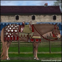 Horse Color:Liver Chestnut Appaloosa 