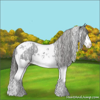 Horse Color:Black Splash Tobiano Appaloosa  and Black Splash Tobiano Appaloosa 