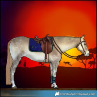 Horse Color:Red Onyx Ice 