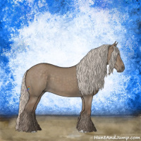 Horse Color:Silver Grullo 