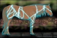 Horse Color:Thunderstruck Chestnut 