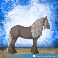 Horse Color:Silver Black 