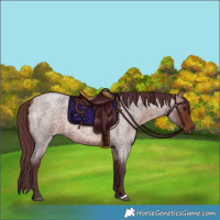 Horse Color:Chocolate Brown Roan 