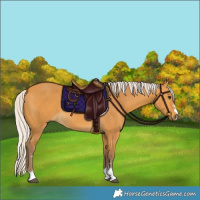 Horse Color:Chocolate Silver Buckskin