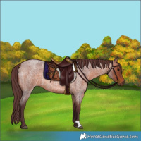 Horse Color:Chocolate Brown Roan 