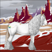 Horse Color:Chestnut Splash Tobiano and Gold Champagne Splash Tobiano