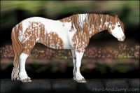 Horse Color:Chestnut Splash Tobiano  and Chestnut Splash Tobiano 