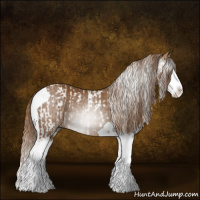 Horse Color:Chestnut Splash Tobiano  and Gray Chestnut Splash Tobiano 