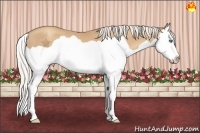 Horse Color:Silver Classic Champagne Splash