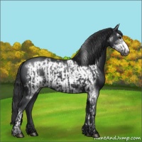 Horse Color:Black  and Black Frame 