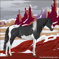 Horse Color:Black Tobiano 
