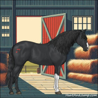 Horse Color:Black 