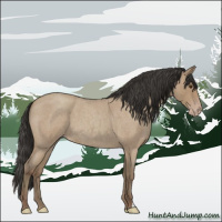 Horse Color:Classic Champagne Roan 