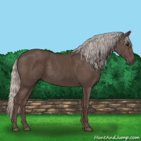 Horse Color:Silver Black 