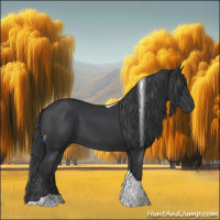 Horse Color:Black Tobiano 