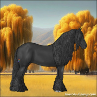 Horse Color:Black 
