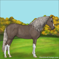 Horse Color:Silver Black 