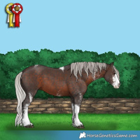Horse Color:White Spotted Silver Brown Tobiano 