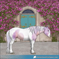 Horse Color:Watercolor Silver Brown Tobiano 