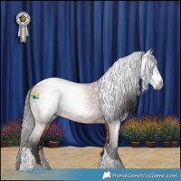 Horse Color:Gray Bay Splash Tobiano 