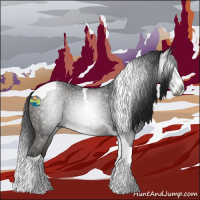 Horse Color:Gray Black Splash Tobiano 