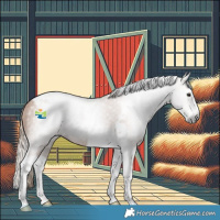 Horse Color:Gray Chestnut Splash Tobiano 