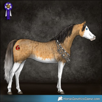 Horse Color:Buckskin Splash and Buckskin Dun Splash