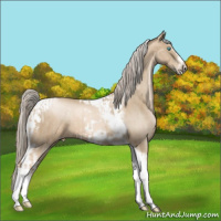 Horse Color:Chocolate Palomino Pearl Tobiano Frame  and Chocolate Palomino Pearl Tobiano Frame 