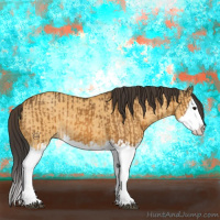 Horse Color:Buckskin Splash  and Buckskin Dun Splash 