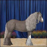 Horse Color:Silver Black 