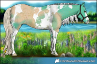 Horse Color:Watercolor Chocolate Palomino Tobiano 
