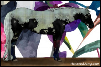 Horse Color:Void Watercolor Plaid  Chocolate Palomino Dun Splash 