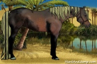 Horse Color:Void Painted Brown Roan Tobiano 