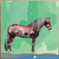 Horse Color:Void Watercolor Chocolate Palomino Onyx Splash Tobiano 