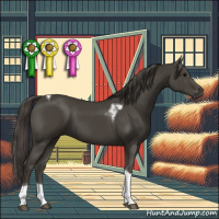 Horse Color:Smoky Black Tobiano 