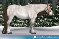 Horse Color:White Spotted Liver Red Dun Roan 