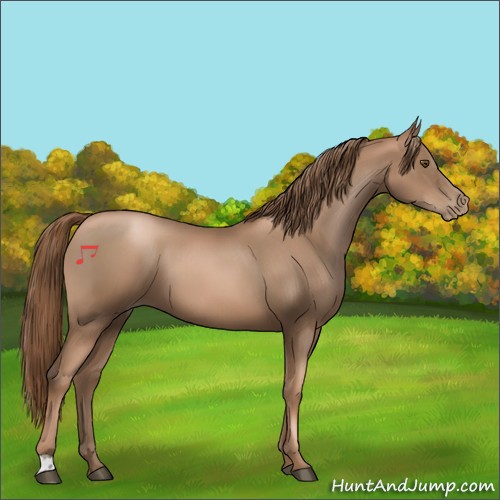 Horse Color:Liver Chestnut Pearl 