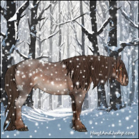 Horse Color:White Spotted Liver Red Roan